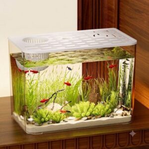 Square Glass Aquarium